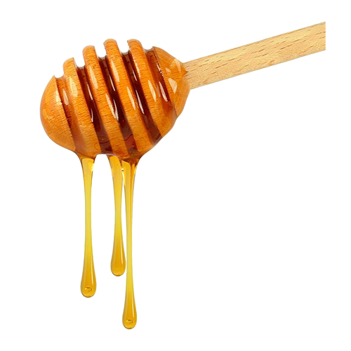 Natural ingredients of Swarnaprashan drops including Gold Bhasma, Brahmi, Shankhpushpi, Ashwagandha