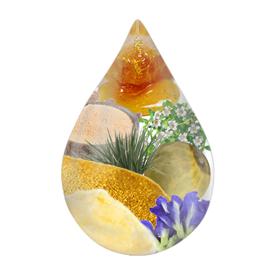 Natural ingredients of Swarnaprashan drops including Gold Bhasma, Brahmi, Shankhpushpi, Ashwagandha